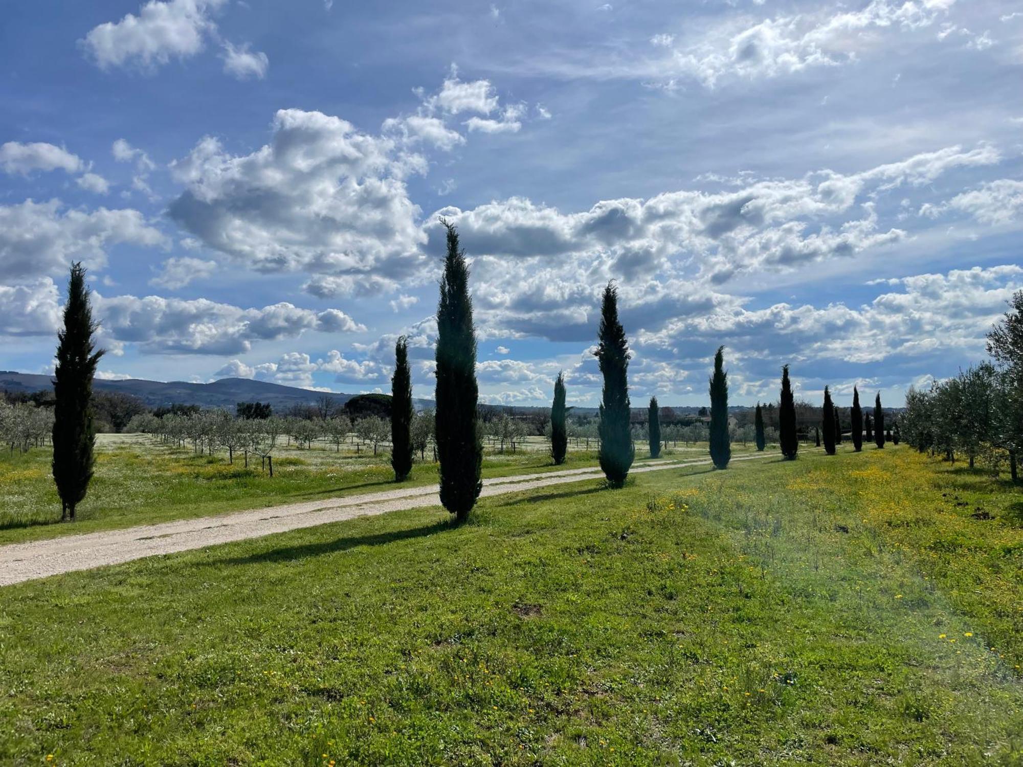 Podere Dell'Arco Country Charme Viterbo Exterior foto